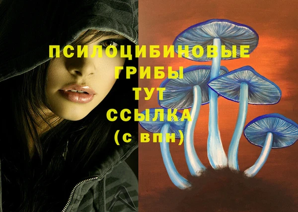мяу мяу кристалл Аркадак