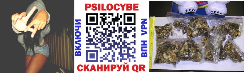 хочу наркоту  Снежногорск  Галлюциногенные грибы MAGIC MUSHROOMS 